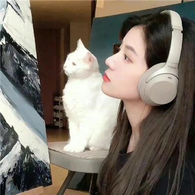 白莲花度假村第一季